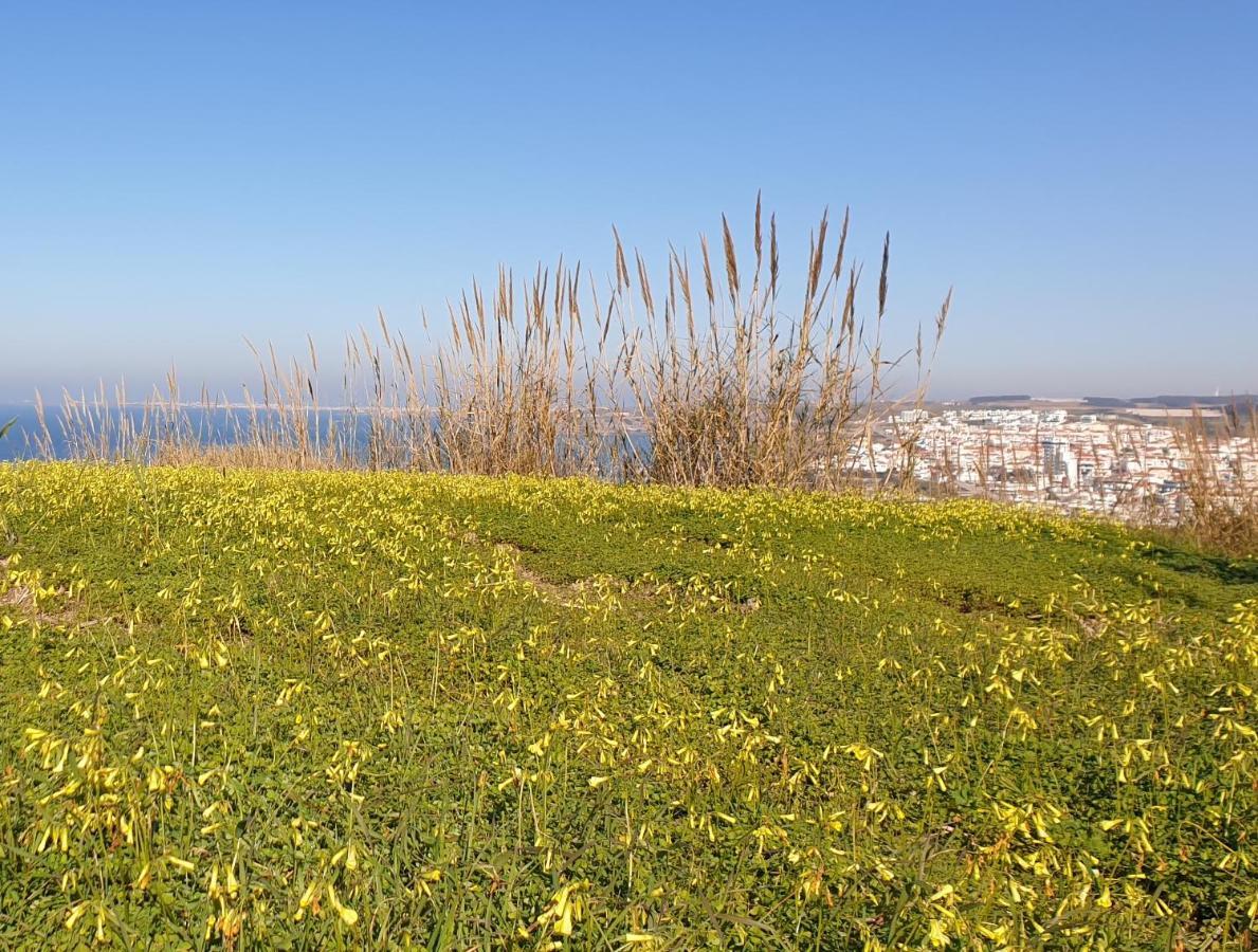 Casa Harmonica Com Vista Mar Villa Areia Branca Bagian luar foto